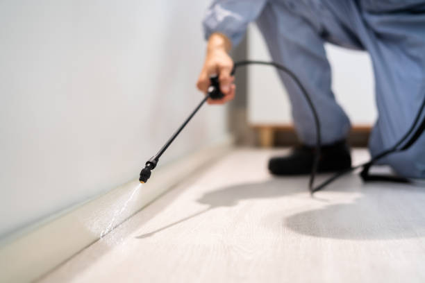 Licensed Termite Control service in Mount Olive, NC - Nex Pest Control