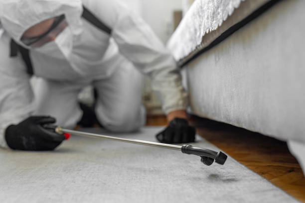 Professional Termite Control technician working in Mount Olive, NC