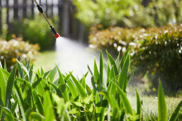 24/7 Emergency Termite Control experts in Mount Olive, NC