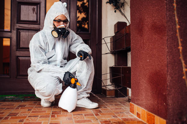 Reliable Termite Control contractor in Mount Olive, NC by Nex Pest Control