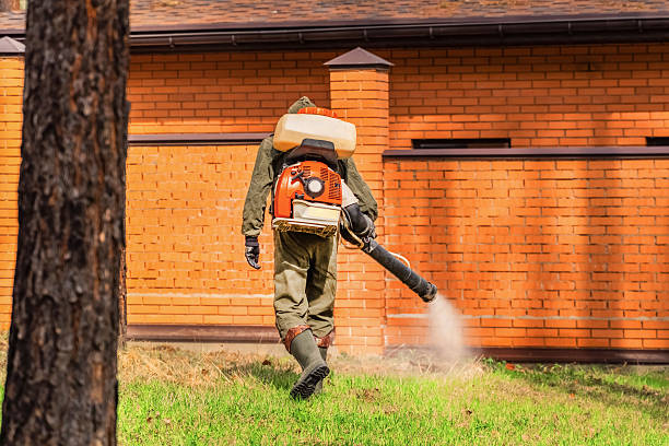 Top rated local Termite Control specialists in Mount Olive, NC